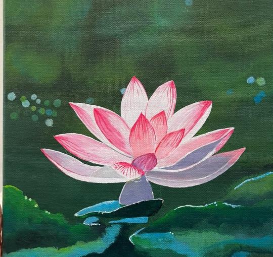 images PAINT LOTUSBLUMEN - LOTUS FLOWER